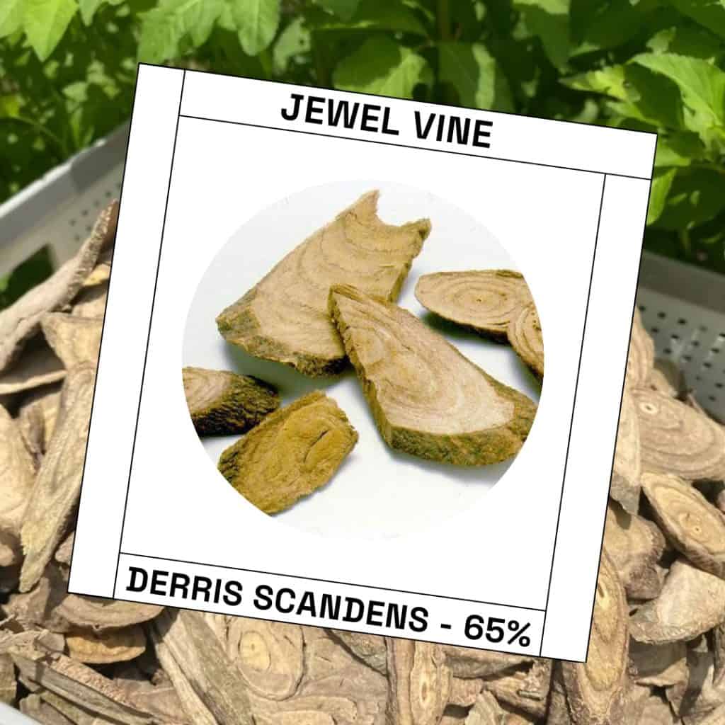 Jewel Vine