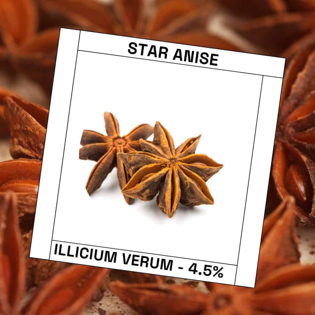 Star Anise