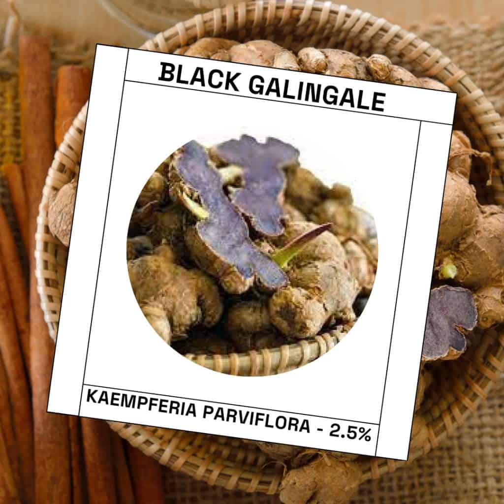 Black Galingale