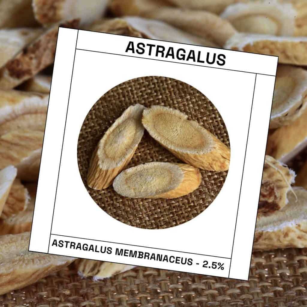 Astragalus