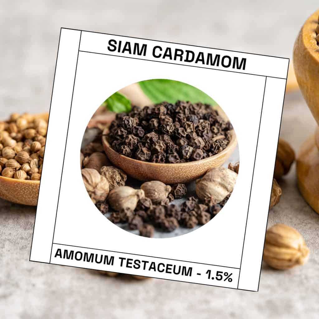 Siam Cardamom