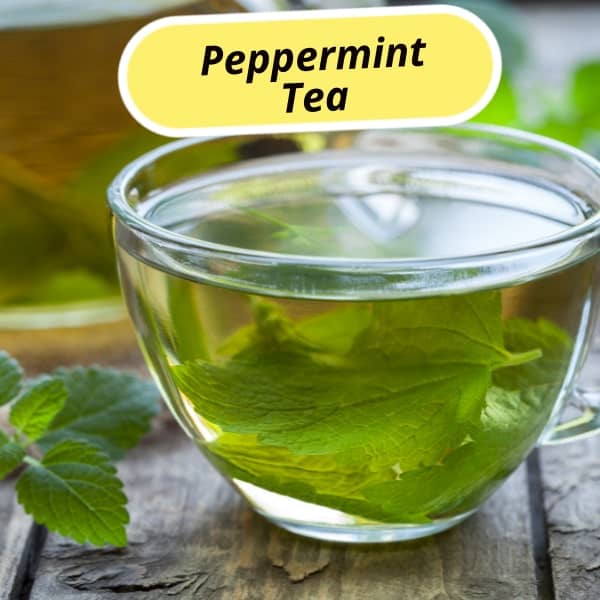 Peppermint Tea: The Cool Refresher