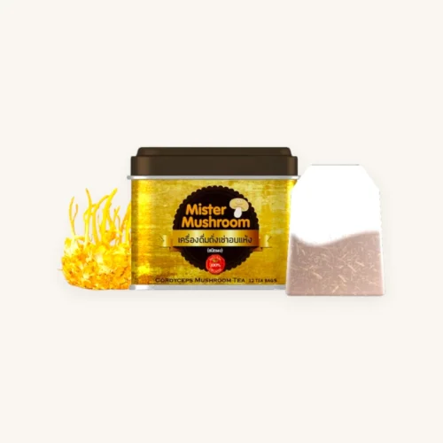 Mister Mushroom Cordyceps Tea Bags — Convenient Daily Wellness (Premium Thai Cordyceps)