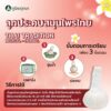 Poompuksa herbal compress preparation guide